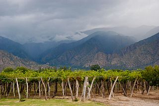 A winery near Cafayate, Salta Province (Argentina).
