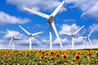 Wind power may replace many coal power plants