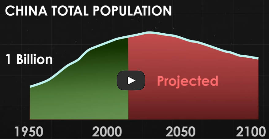 China population collapse