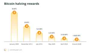 Bitcoin Halving Chart